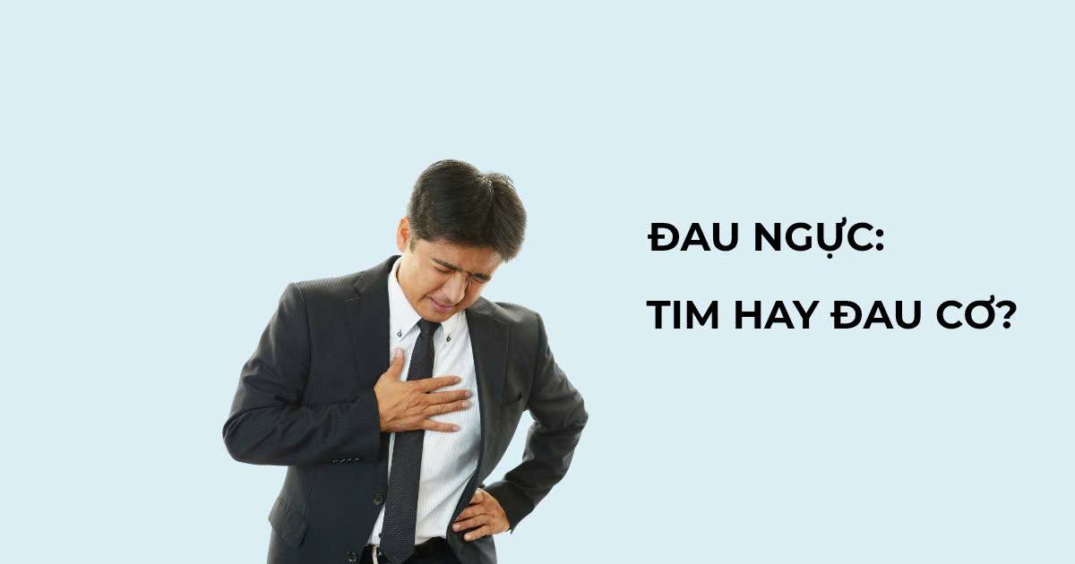 Phân biệt đau ngực do tim và đau cơ ngực: Dấu hiệu phải cấp cứu ngay