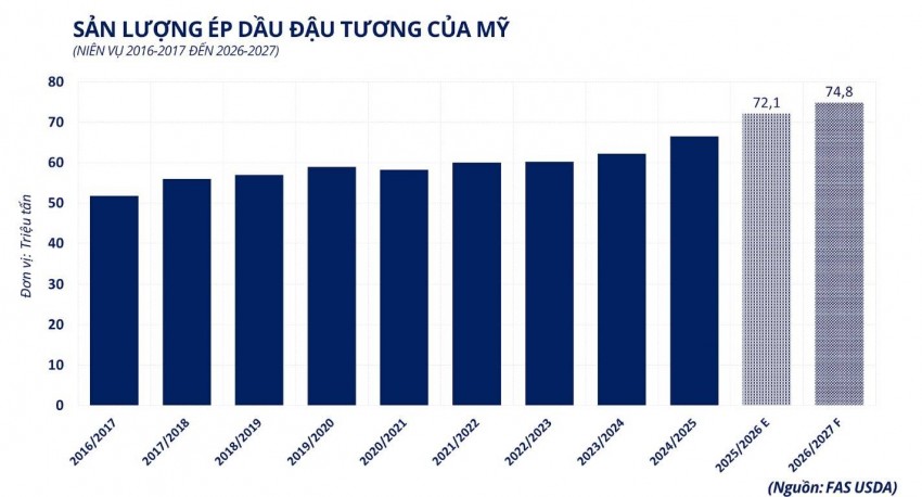 Sức nóng từ giá dầu thô kích hoạt đà bứt phá của thị trường đậu tương