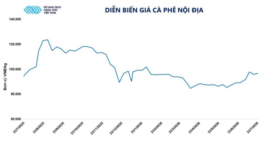 Giá cà phê tiếp tục chịu áp lực giảm: Niên vụ mới liệu có lập kỷ lục?