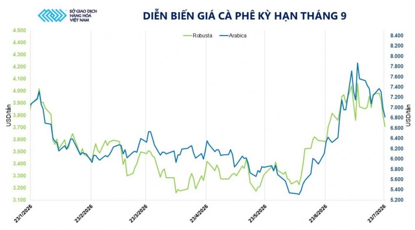 Giá cà phê tiếp tục chịu áp lực giảm: Niên vụ mới liệu có lập kỷ lục?