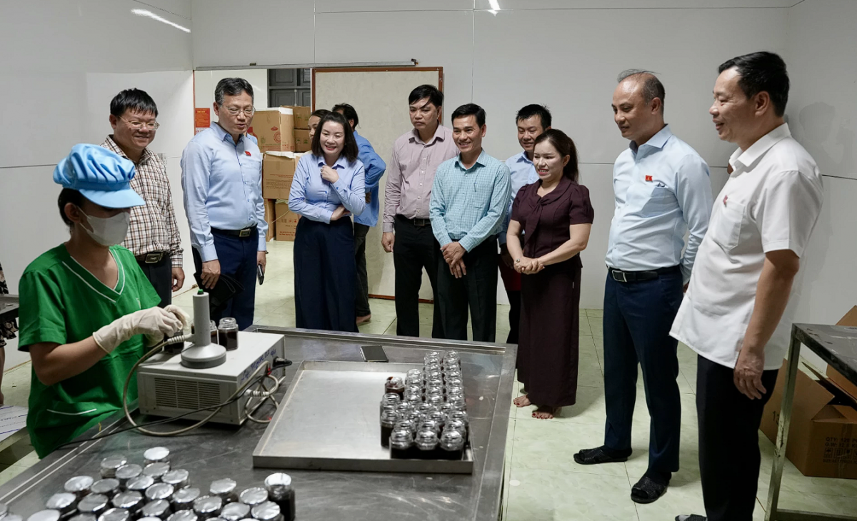 Khảo sát thực tiễn phục vụ sửa đổi Luật An toàn thực phẩm tại Quảng Trị