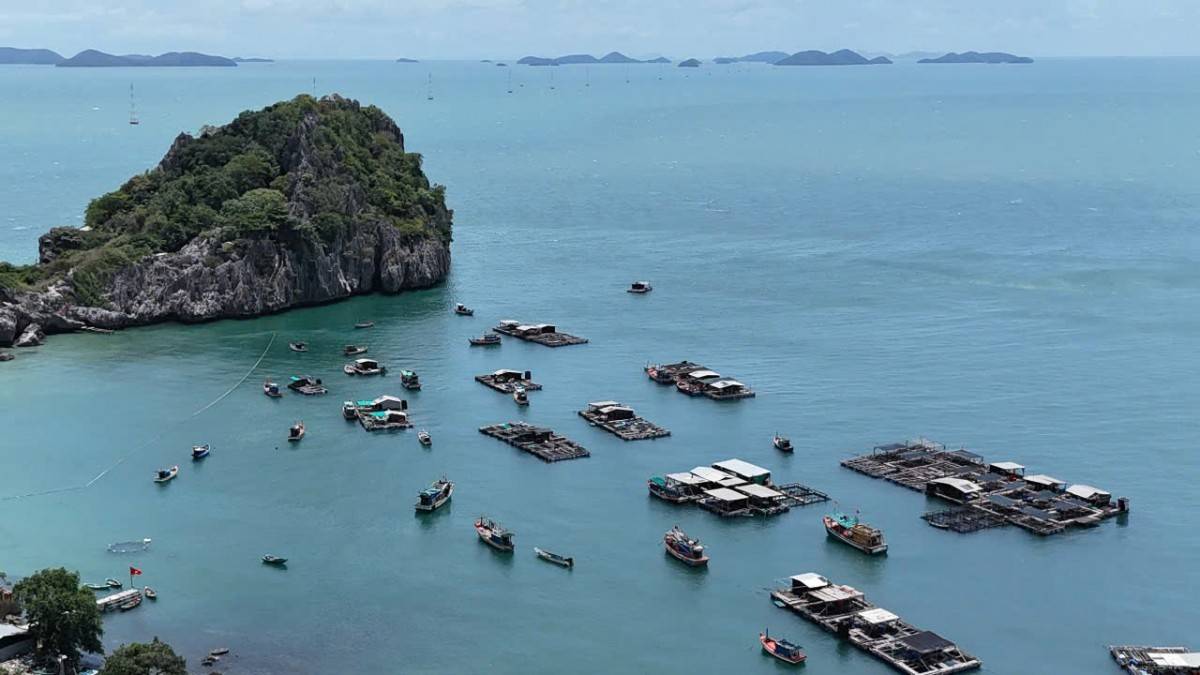 Hòn Nghệ sau sáp nhập: Đánh thức tiềm năng từ biển