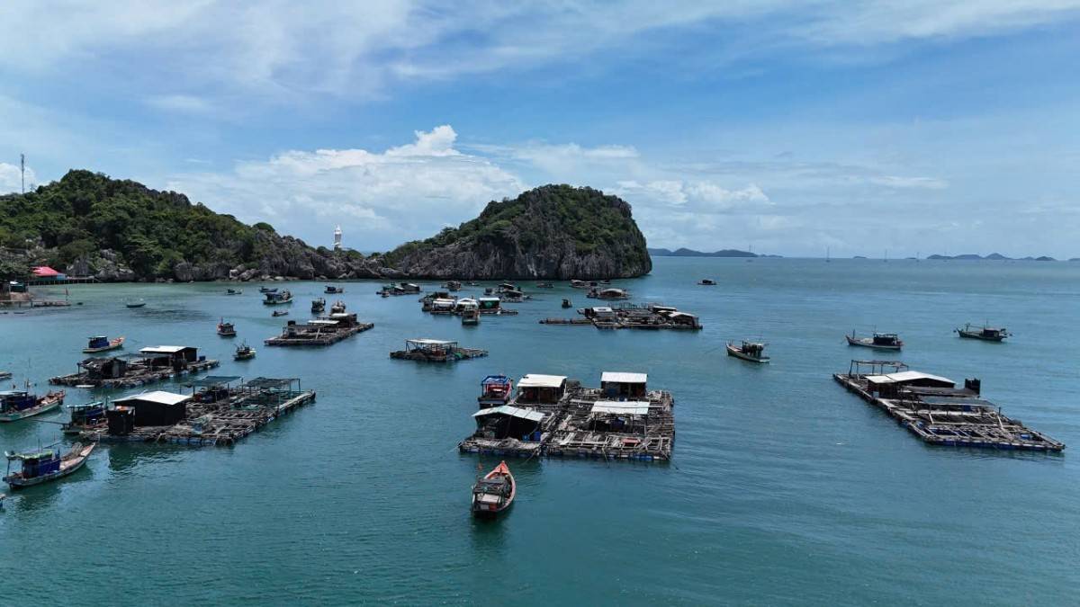 Hòn Nghệ sau sáp nhập: Đánh thức tiềm năng từ biển