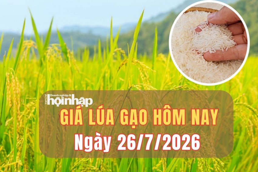 Giá lúa gạo hôm nay 26/7/2026: Giá lúa gạo bình ổn, gạo xuất khẩu tăng nhẹ
