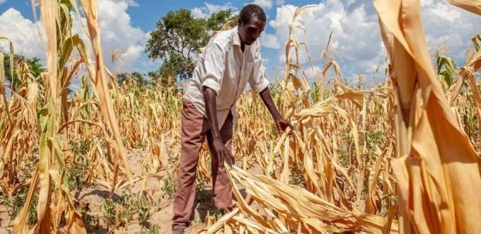 El Niño cực mạnh có thể gây thiệt hại tới 20 tỷ USD cho châu Phi