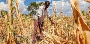El Niño cực mạnh có thể gây thiệt hại tới 20 tỷ USD cho châu Phi