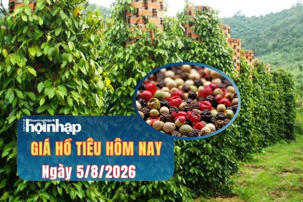 Giá tiêu hôm nay 5/8/2026: Thị trường trong nước đi ngang, xuất khẩu khởi sắc