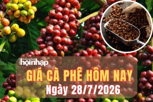 Giá cà phê hôm nay 28/7/2026: Giá cà phê Đắk Lắk tăng nhẹ, thế giới đồng loạt khởi sắc