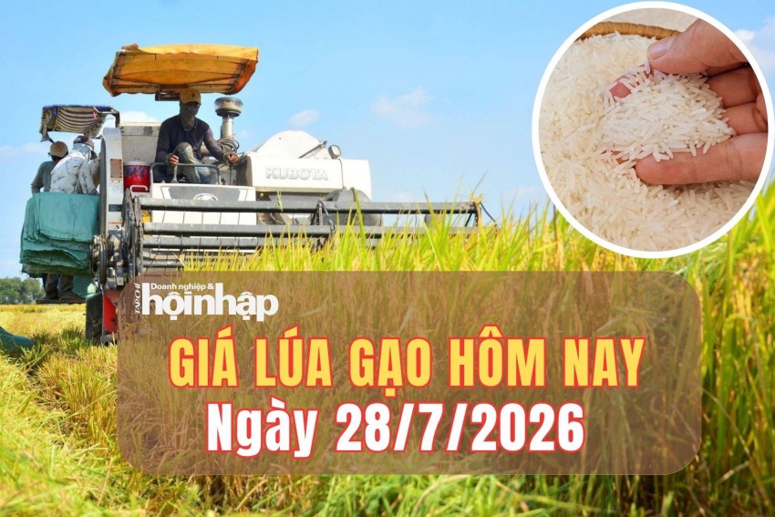 giá lúa gạo