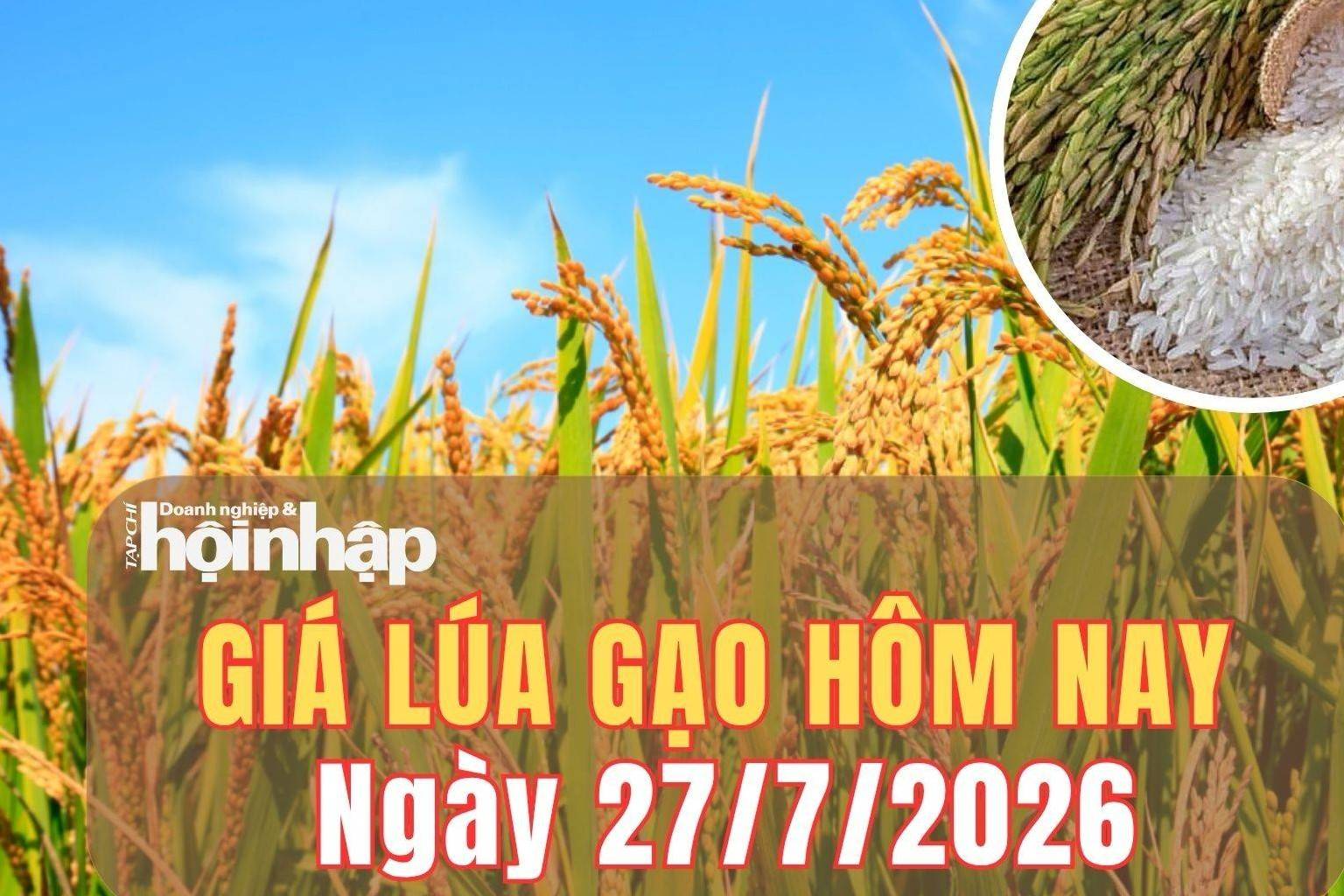 Giá lúa gạo hôm nay 27/7/2026: Giá gạo trắng xuất khẩu tăng, nội địa ổn định