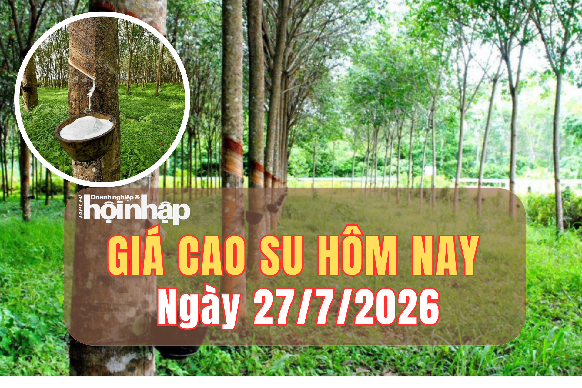 Giá cao su hôm nay 27/7/2026: Giá cao su thế giới khép tuần trái chiều, trong nước đi ngang