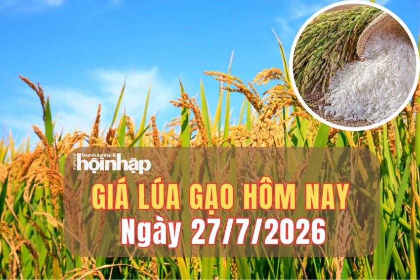 Giá lúa gạo hôm nay 27/7/2026: Giá gạo trắng xuất khẩu tăng, nội địa ổn định