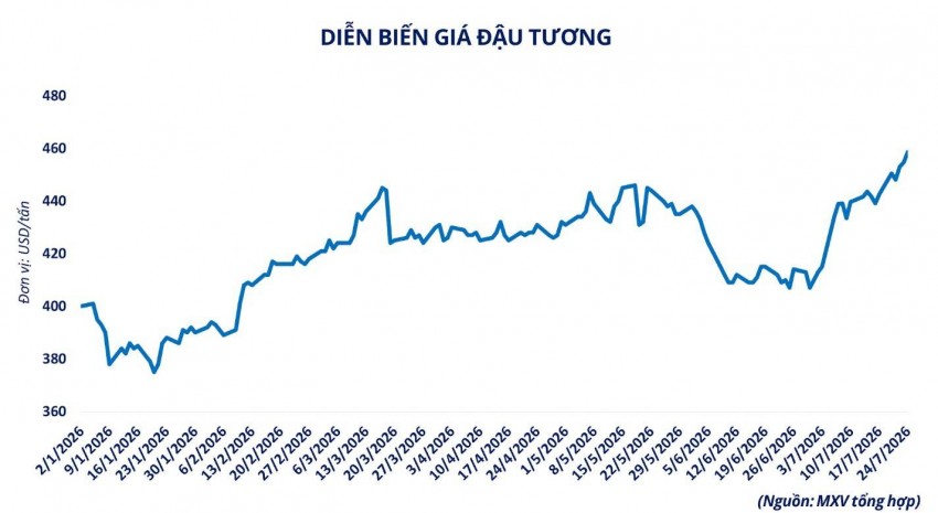 Đậu tương tăng mạnh trong tuần qua, giá lên cao nhất 3,5 năm