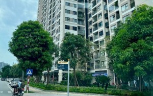 Nguồn cung căn hộ Hà Nội và Thành phố Hồ Chí Minh tăng mạnh, sức mua vẫn chững lại