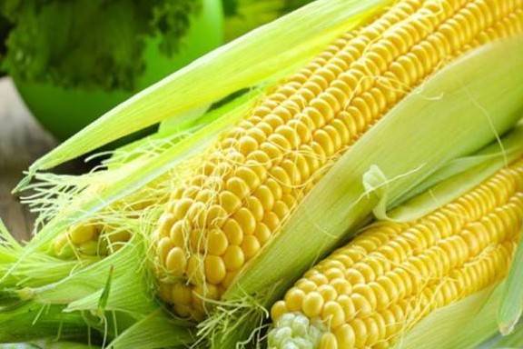 Giá ngô lao dốc do áp lực chốt lời