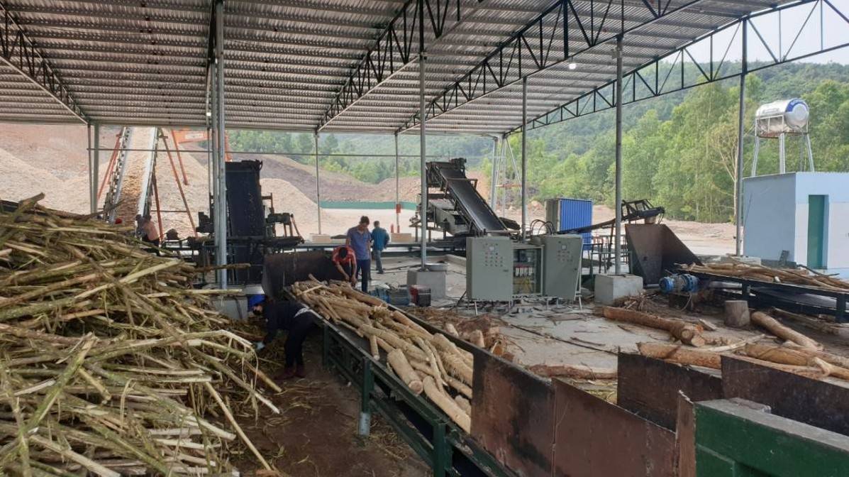 Quản lý chặt, ngành gỗ Thái Nguyên hướng tới phát triển xanh bền vững lâu dài