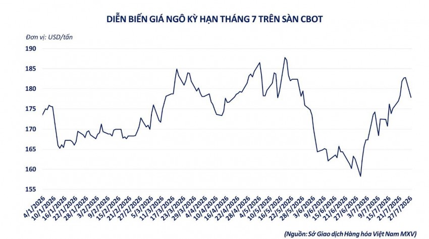 Giá ngô lao dốc do áp lực chốt lời