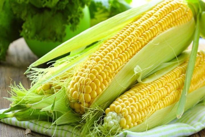 Giá ngô thế giới lao dốc do áp lực chốt lời và triển vọng thời tiết thuận lợi tại Mỹ