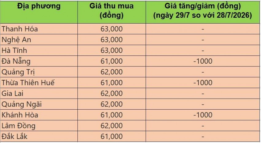 Bảng giá heo hơi tại miền Trung - Tây Nguyên hôm nay 29/7/2026