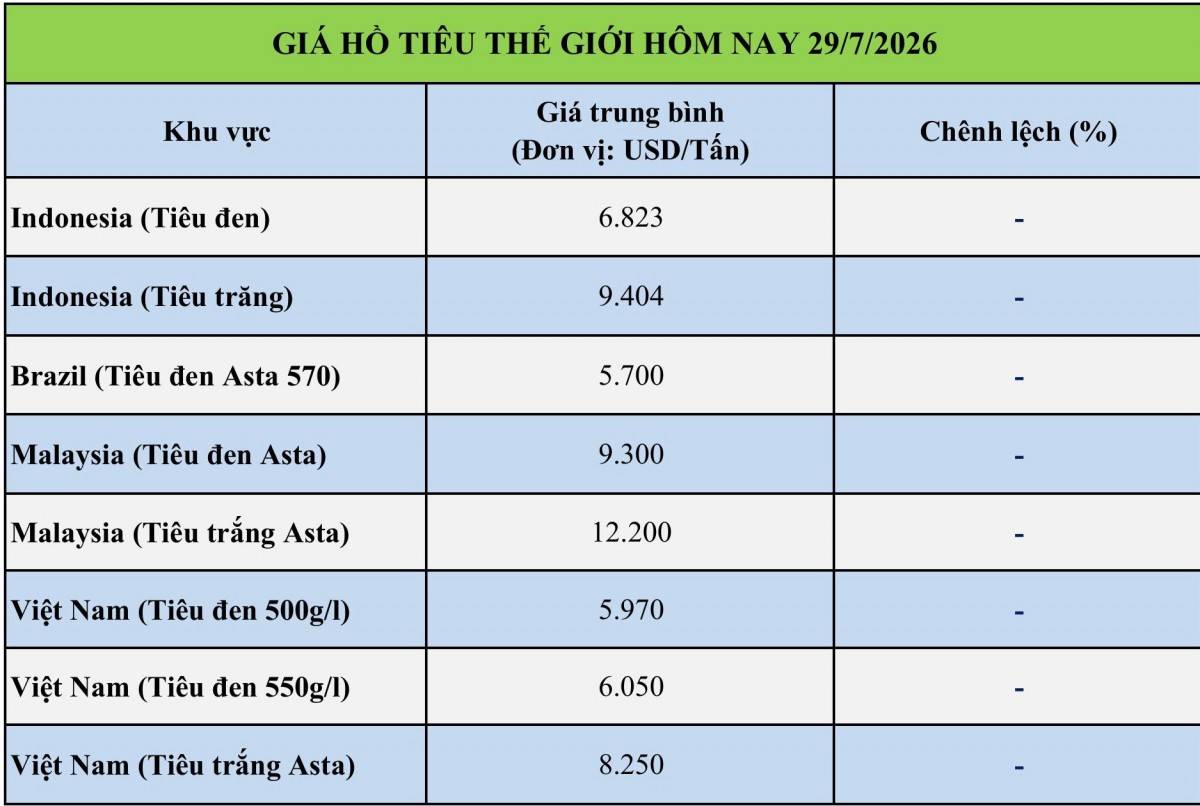 Giá tiêu hôm nay 29/7/2026: