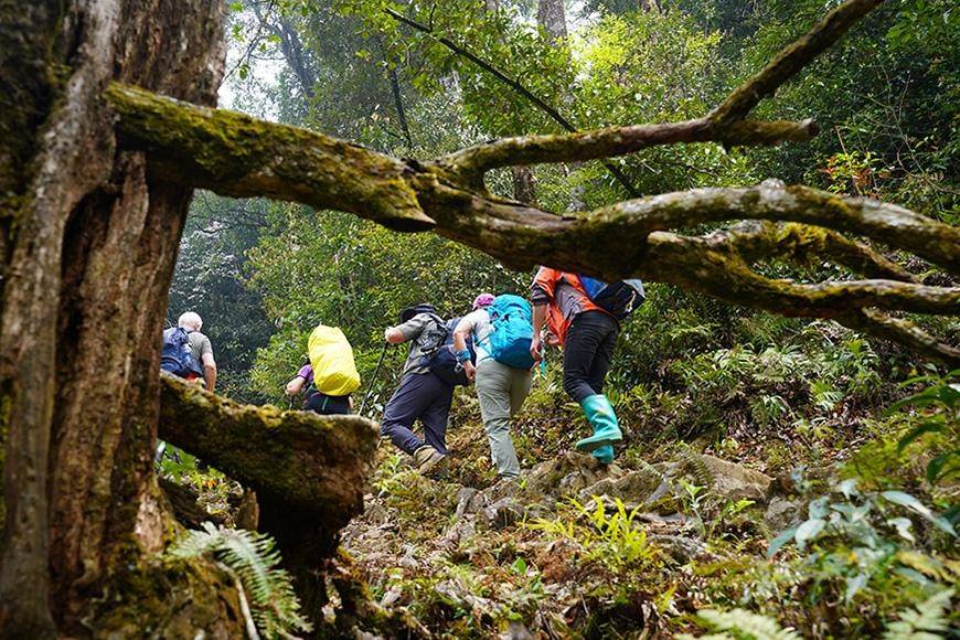 Du khách trekking trong Vườn Quốc gia Hoàng Liên.
