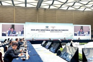 Việt Nam đề xuất 4 trọng tâm hợp tác lâm nghiệp tại APEC 2026