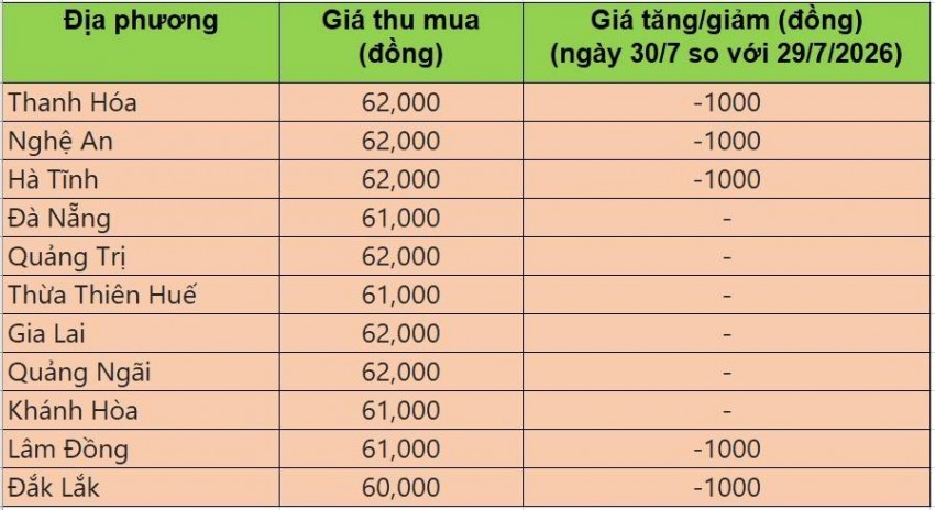 Bảng giá heo hơi tại miền Trung - Tây Nguyên hôm nay 30/7/2026