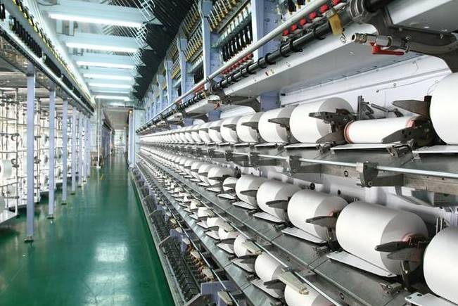 Sợi Thế Kỷ tiếp tục thua lỗ quý II