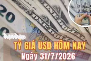 Tỷ giá USD hôm nay 31/7: Đồng USD giảm mạnh