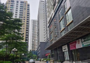 Dòng vốn tiếp tục là điểm nghẽn lớn cản trở đà phục hồi thị trường bất động sản