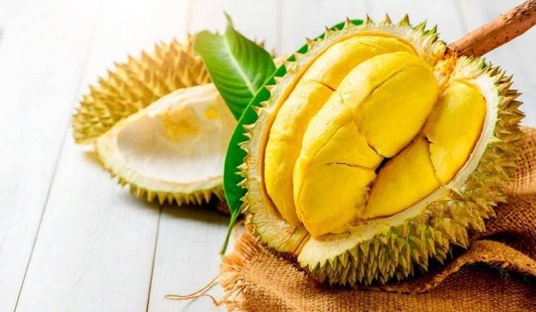 Ấn Độ mở cửa cho sầu riêng Việt Nam, thêm cơ hội đa dạng thị trường xuất khẩu