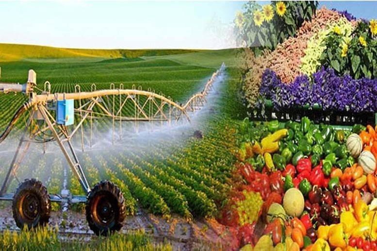 Xuất khẩu nông, lâm, thủy sản hướng mốc 74 tỷ USD nhờ loạt giải pháp gỡ rào cản