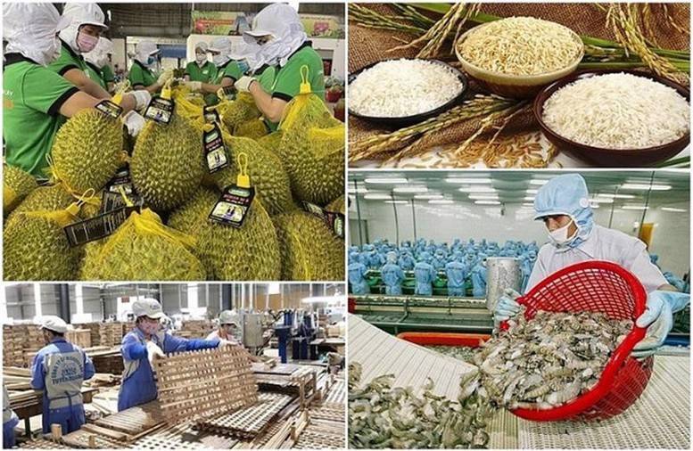 Cùng với các chính sách về thuế, thương mại và logistics, tín dụng ngân hàng đang trở thành nguồn lực quan trọng giúp doanh nghiệp nông, lâm, thủy sản xuất khẩu mở rộng sản xuất, đầu tư chế biến và nâng cao năng lực cạnh tranh.