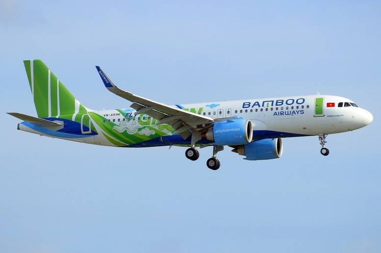 Công ty Cổ phần Hàng không Tre Việt (Bamboo Airways) được thành lập năm 2017, địa chỉ tại Khu số 4, Khu du lịch biển Nhơn Lý - Cát Tiến, phường Quy Nhơn Đông, tỉnh Gia Lai. Vốn điều lệ ban đầu 700 tỷ đồng thuộc sở hữu của Tập đoàn FLC. 