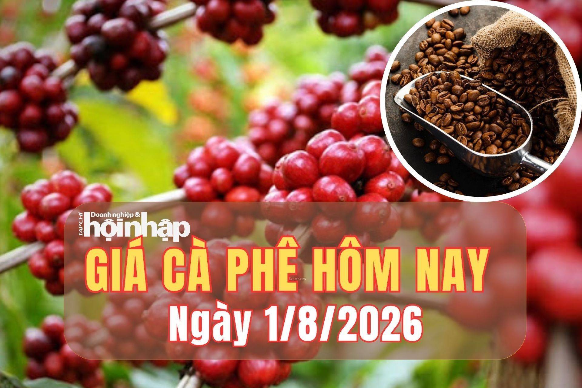 Giá cà phê hôm nay 1/8 /2026: Giá cà phê thế giới đồng loạt tăng