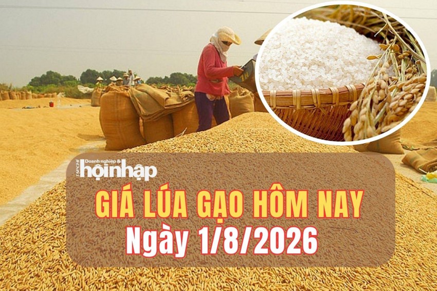Giá lúa gạo hôm nay 1/8/2026: Giá lúa tươi đồng loạt tăng