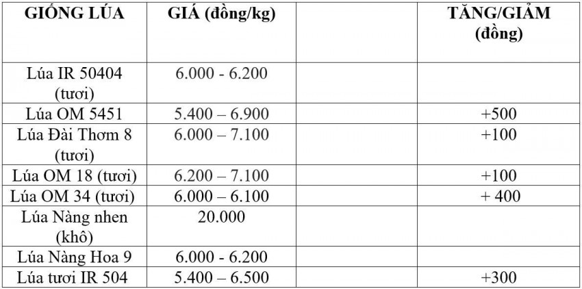 Bảng giá lúa hôm nay 1/8/2026