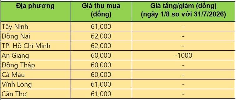 Bảng giá heo hơi tại miền Nam hôm nay 1/8/2026