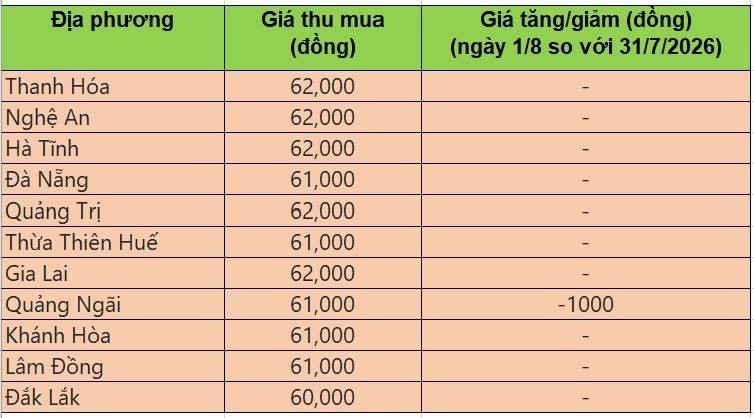 Bảng giá heo hơi tại miền Trung - Tây Nguyên hôm nay 1/8/2026