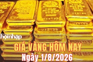 Giá vàng hôm nay 1/8/2026: Giá vàng đồng loạt giảm