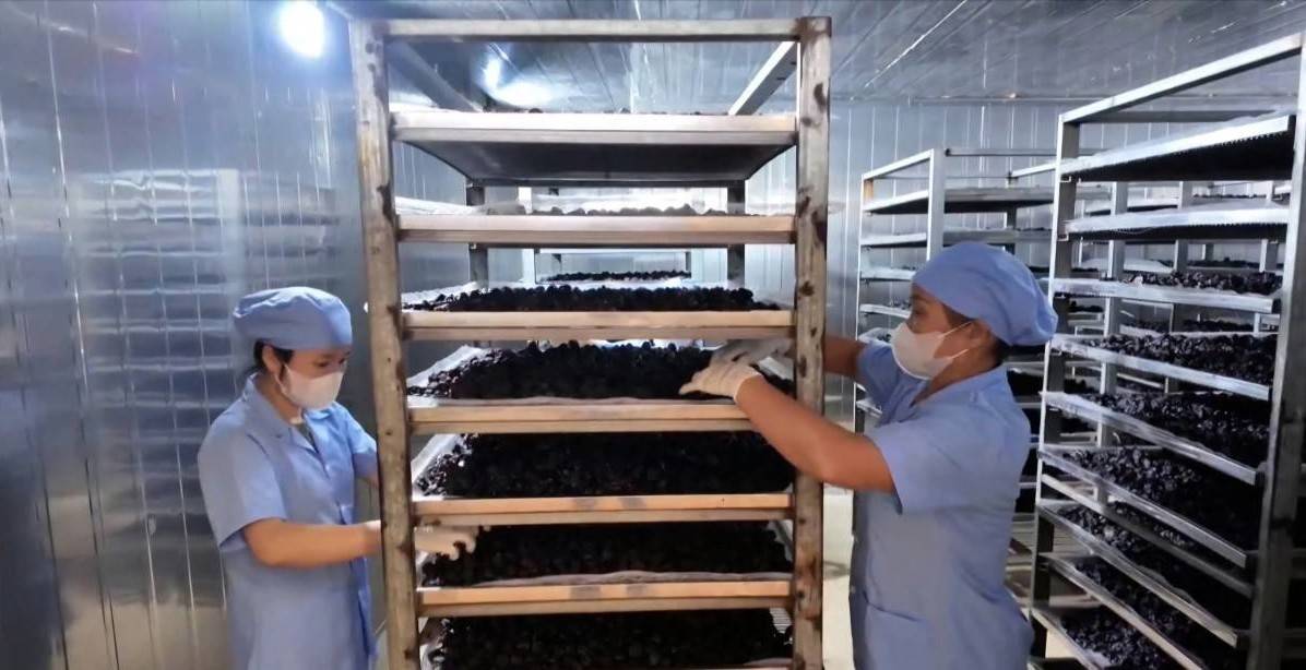 100% hồ sơ đăng ký doanh nghiệp được xử lý trực tuyến tại Sơn La