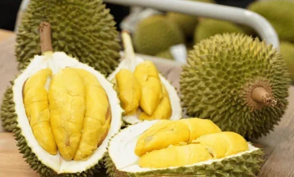 Sầu riêng Việt mở rộng cửa vào Hàn Quốc, xuất khẩu tăng 129%