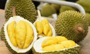 Sầu riêng Việt mở rộng cửa vào Hàn Quốc, xuất khẩu tăng 129%