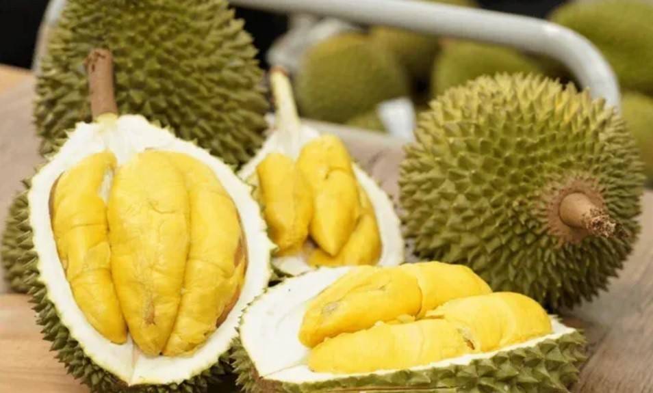 Xuất khẩu sầu riêng Việt Nam sang thị trường Hàn Quốc chiếm tỷ trọng chưa lớn nhưng lại ghi nhận tốc độ tăng trưởng cực ấn tượng.
