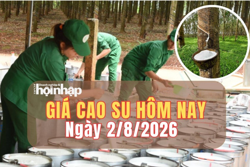 Giá cao su hôm nay 2/8/2026: Sàn TOCOM và SHFE tăng giảm đan xen