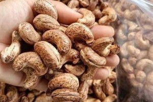 Ngành điều trước áp lực nhập siêu: Bài toán nâng giá trị chuỗi cung ứng