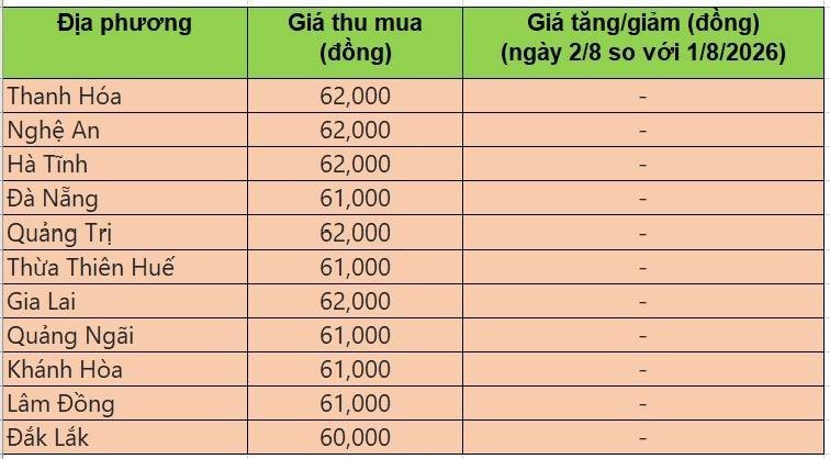 Bảng giá heo hơi tại miền Trung - Tây Nguyên hôm nay 2/8/2026