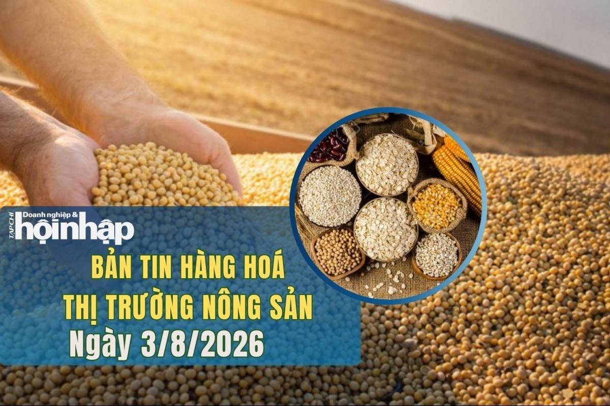 Thị trường nhóm nông sản 3/8/2026: Lúa mì bật tăng, ngô và đậu tương giảm
