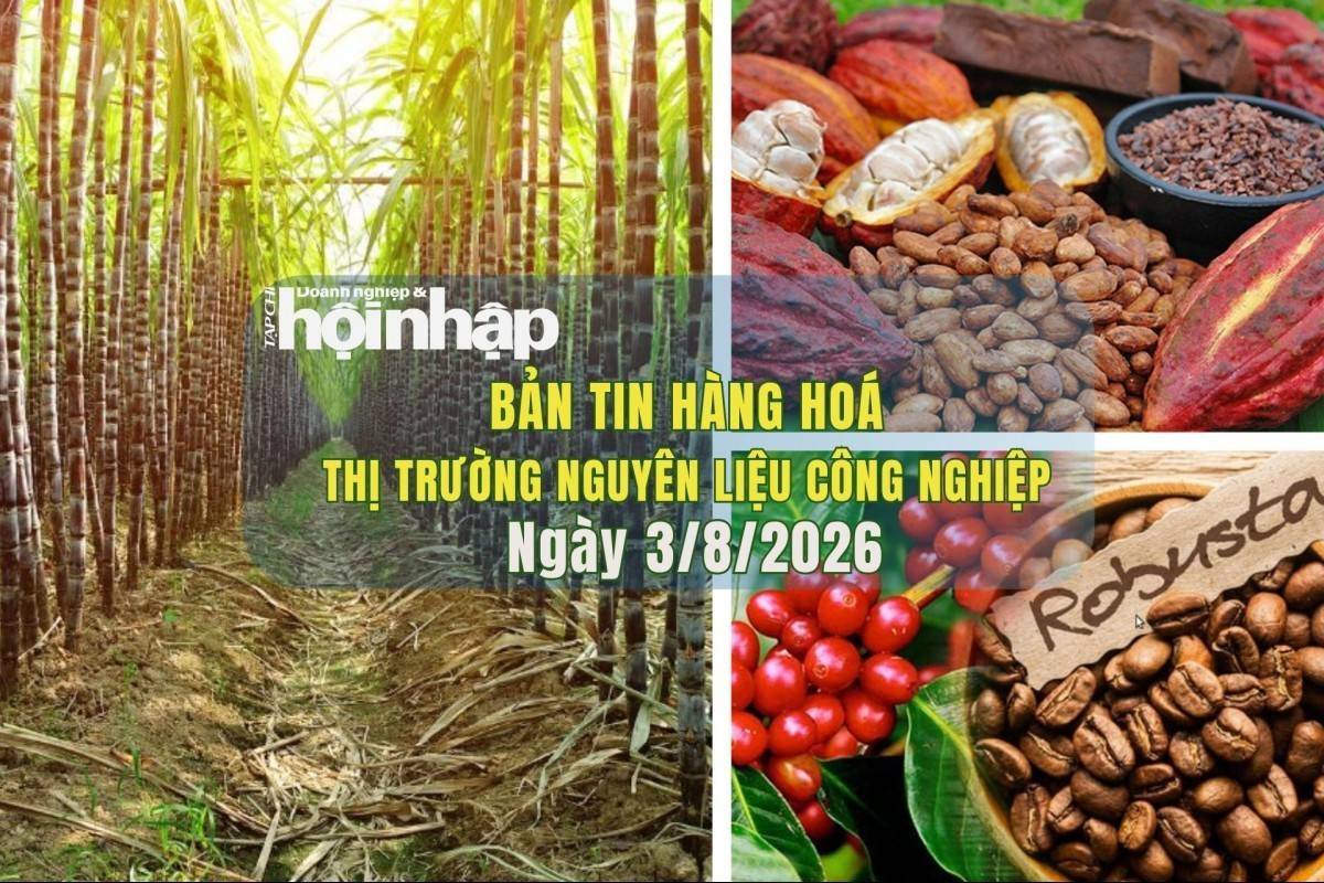Thị trường nguyên liệu công nghiệp 3/8/2026: Cà phê neo cao, ca cao và đường điều chỉnh giảm