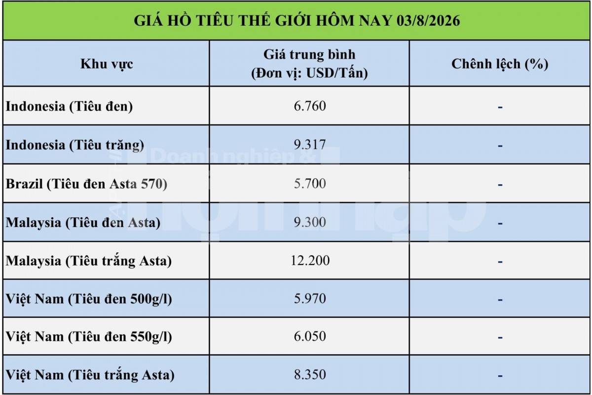 Giá tiêu hôm nay 3/8/2026: